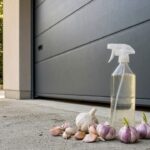 Rats dans la maison : ce spray naturel du placard aide à les éloigner rapidement